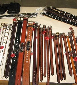Dog Collars of All Types